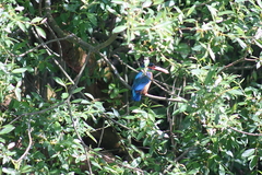 Killikus&reg; Fotographie